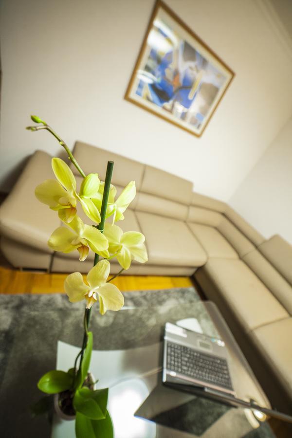 Business Class Apartment คลูจ-นาโปกา ภายนอก รูปภาพ