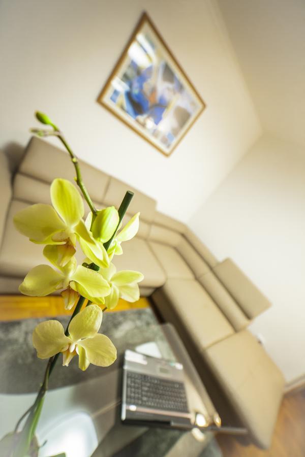 Business Class Apartment คลูจ-นาโปกา ภายนอก รูปภาพ